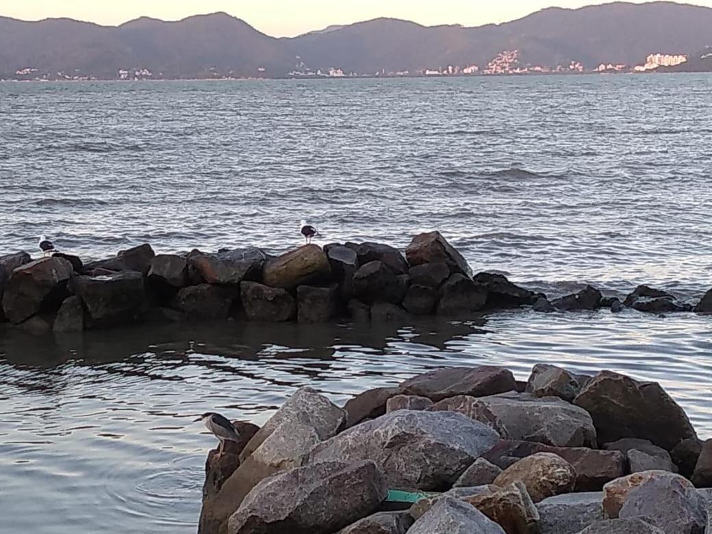 Hostel Nossa Casa Florianópolis 외부 사진