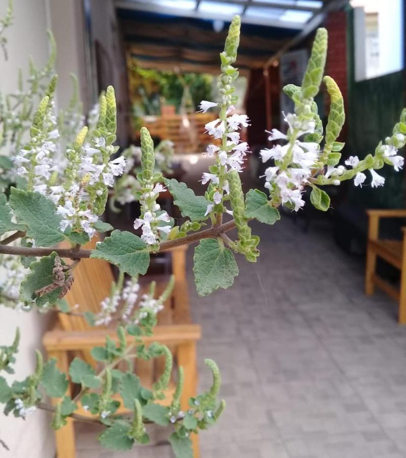 Hostel Nossa Casa Florianópolis 외부 사진