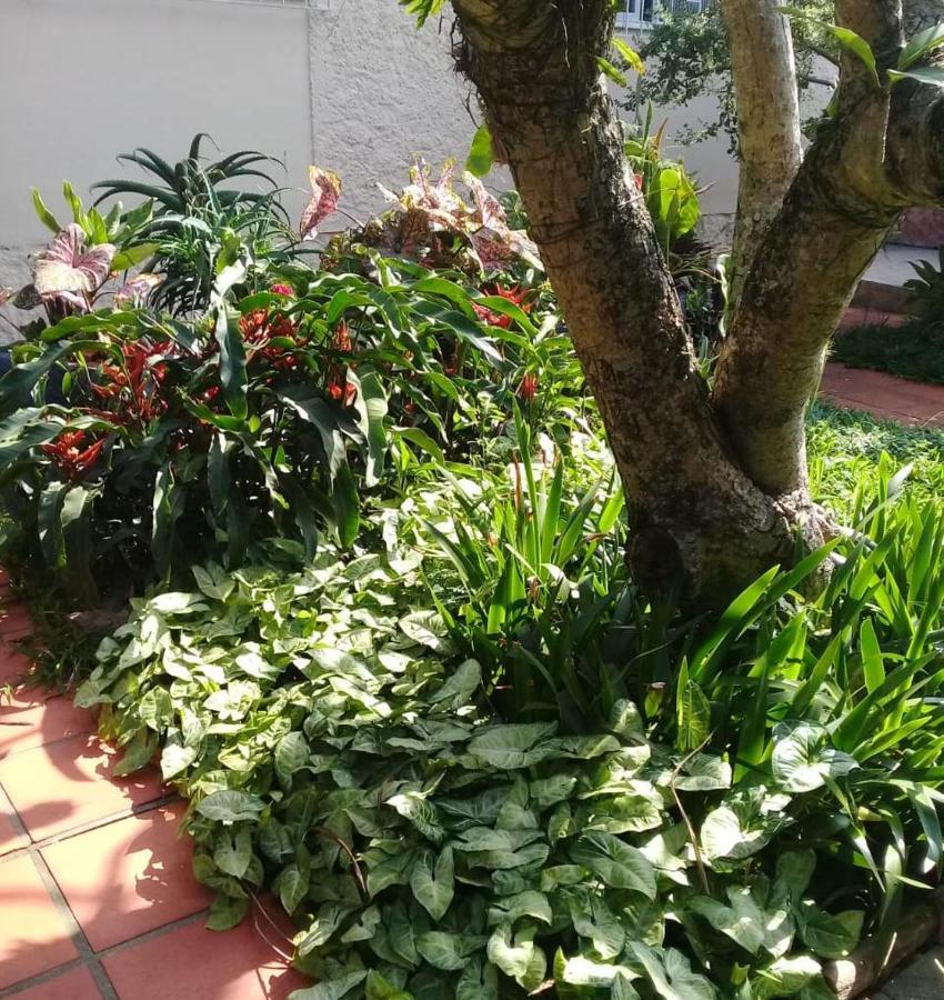 Hostel Nossa Casa Florianópolis 외부 사진